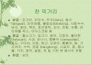 음식문화(말레이시아, 인도네시아) 5페이지