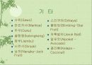 음식문화(말레이시아, 인도네시아) 17페이지