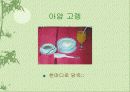 음식문화(말레이시아, 인도네시아) 19페이지