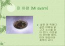 음식문화(말레이시아, 인도네시아) 23페이지