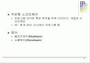 정보전산 16페이지