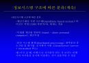 경영정보시스템 38페이지