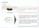 화장품 산업 분석 33페이지