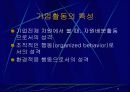 기업 정태론 17페이지