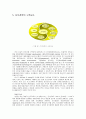 신경영 및 지식경영에 대한 이해와 사례연구 - 대한투자신탁, SK, 에버랜드, LG전자 23페이지