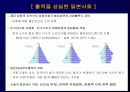 일본경제의 위기와 시사점 12페이지