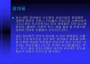 프랑스 건축양식 10페이지