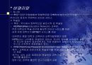 인터넷과 역사 10페이지