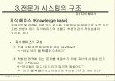 Expertsystem 11페이지