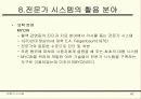 Expertsystem 40페이지