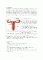 피임의 종류와 방법 13페이지