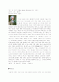 (독후감)에밀-루소 2페이지