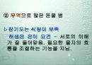 허생전 16페이지