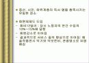 독일도서관사 29페이지