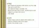 독일도서관사 43페이지