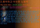 우리나라 공업의 특징 3페이지