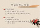 소설의 이론 15페이지