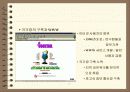인터넷의 개요 3페이지