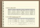 인터넷의 개요 12페이지