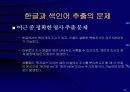 한국어 정보 검색 14페이지