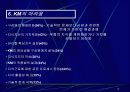 기업경쟁력 수단 지식경영 12페이지