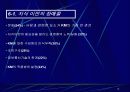 기업경쟁력 수단 지식경영 13페이지