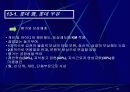 기업경쟁력 수단 지식경영 27페이지