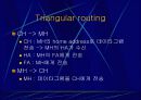 모바일 인터넷과 무선 멀티미디어 통신 14페이지