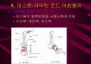 자동차 기관 11페이지