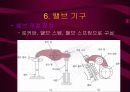 자동차 기관 19페이지
