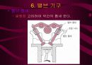 자동차 기관 20페이지