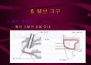 자동차 기관 23페이지