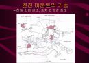 자동차 기관 38페이지