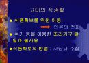 인간과 식품-사회변천에 관한 식생활 변화와 한국인의 음식 문화에 관한 분석 4페이지