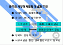 중국의 서부 대개발과 티벳의 미래 2페이지