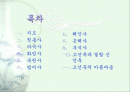 고건축의 미 2페이지