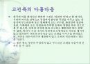 고건축의 미 13페이지