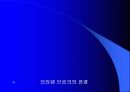 도시와 도시계획 그리고 바람직한 미래 환경적 개발- 독일 베들린 사례 중심으로 16페이지