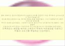 현대 건축- 인간의 자연의 환경을 고려한 신건축-독일아라메주택단지사례를 중심으로 17페이지