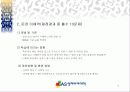 영재 교육 방법론에 대한 이해와 분석 6페이지