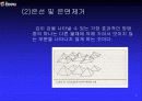 3차원 컴퓨터 그래픽스 산업에 관한 이해와 분석 7페이지
