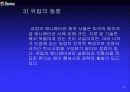 3차원 컴퓨터 그래픽스 산업에 관한 이해와 분석 13페이지