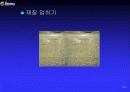 3차원 컴퓨터 그래픽스 산업에 관한 이해와 분석 29페이지