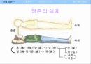 한국의 전통 신앙과 민속 신앙에 관한 이해와 분석 6페이지