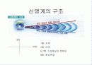 한국의 전통 신앙과 민속 신앙에 관한 이해와 분석 7페이지