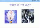 한국의 전통 신앙과 민속 신앙에 관한 이해와 분석 17페이지