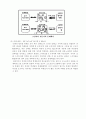 신피아제 이론(Neo Piagetian Theory) 3페이지