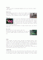도시 관광 홍콩 10페이지