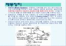 자동차의 구조와 발전사 33페이지