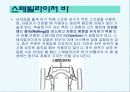 자동차의 구조와 발전사 44페이지